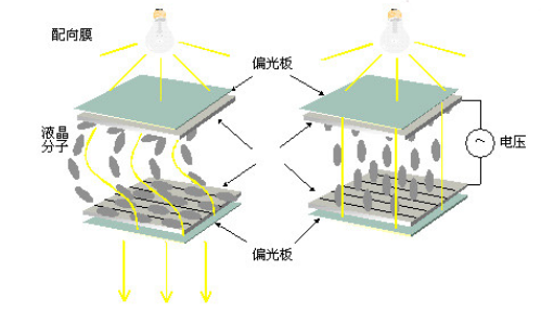 液晶显像原理
