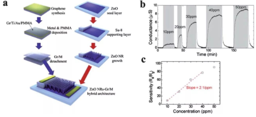 当石墨烯遇上气体传感器