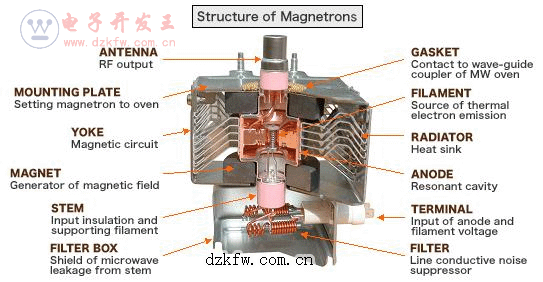 磁控管的结构剖视图