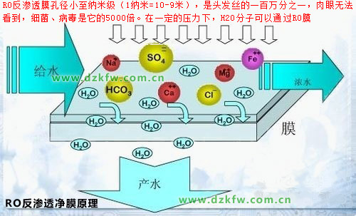 RO反渗透原理